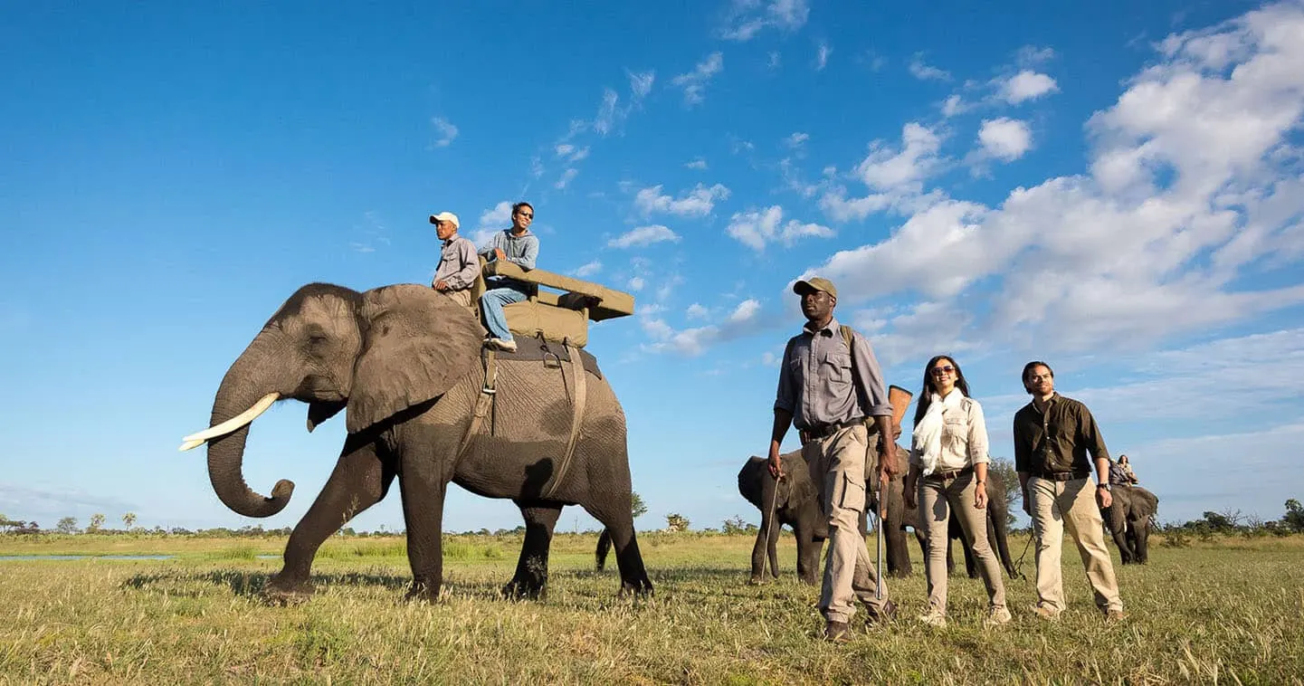 Abu Camp — luxury accommodation in Okavango Delta
