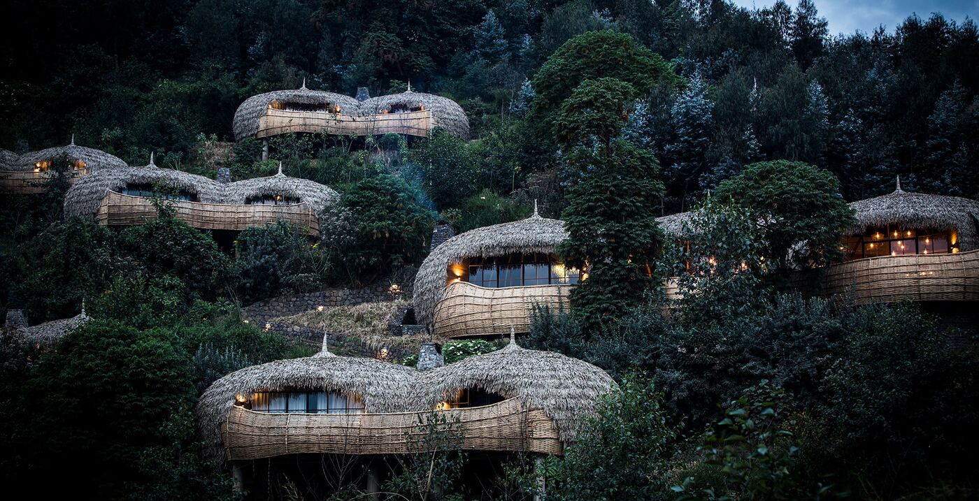 Congo Gorilla Trekking — Virunga National Park ($400 Permit)