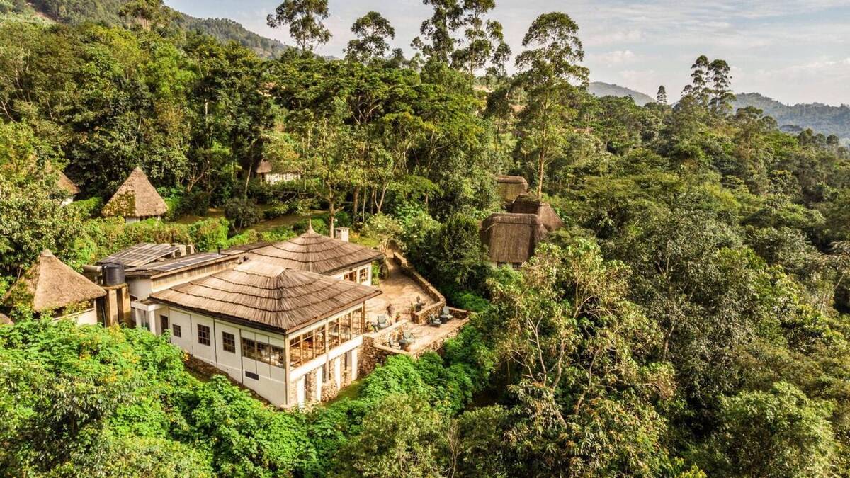 Bwindi Lodge — luxury accommodation in Uganda