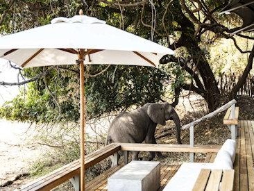 Chikwenya Camp — luxury accommodation in Mana Pools National Park