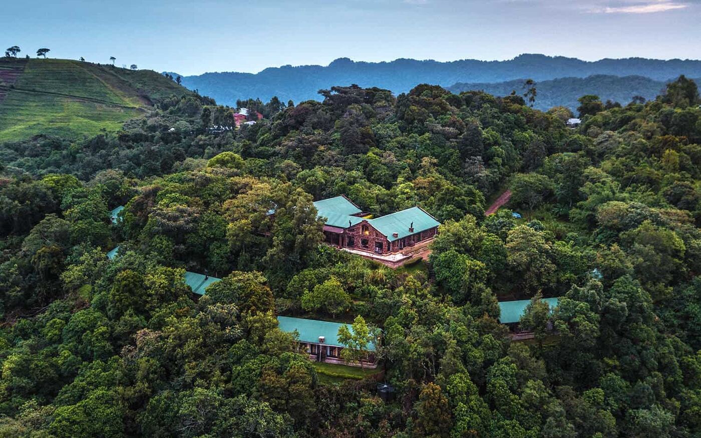 Clouds Mountain Gorilla Lodge — luxury accommodation in Uganda