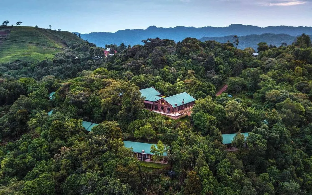 Clouds Mountain Gorilla Lodge — luxury accommodation in Uganda