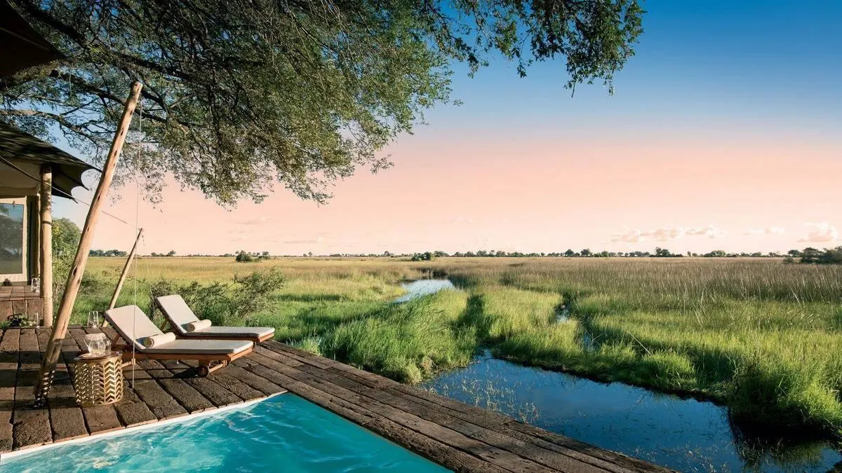 Duba Plains Camp — luxury accommodation in Okavango Delta