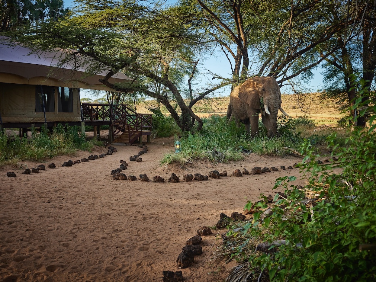 Elephant Bedroom Camp — luxury accommodation in Samburu National Reserve