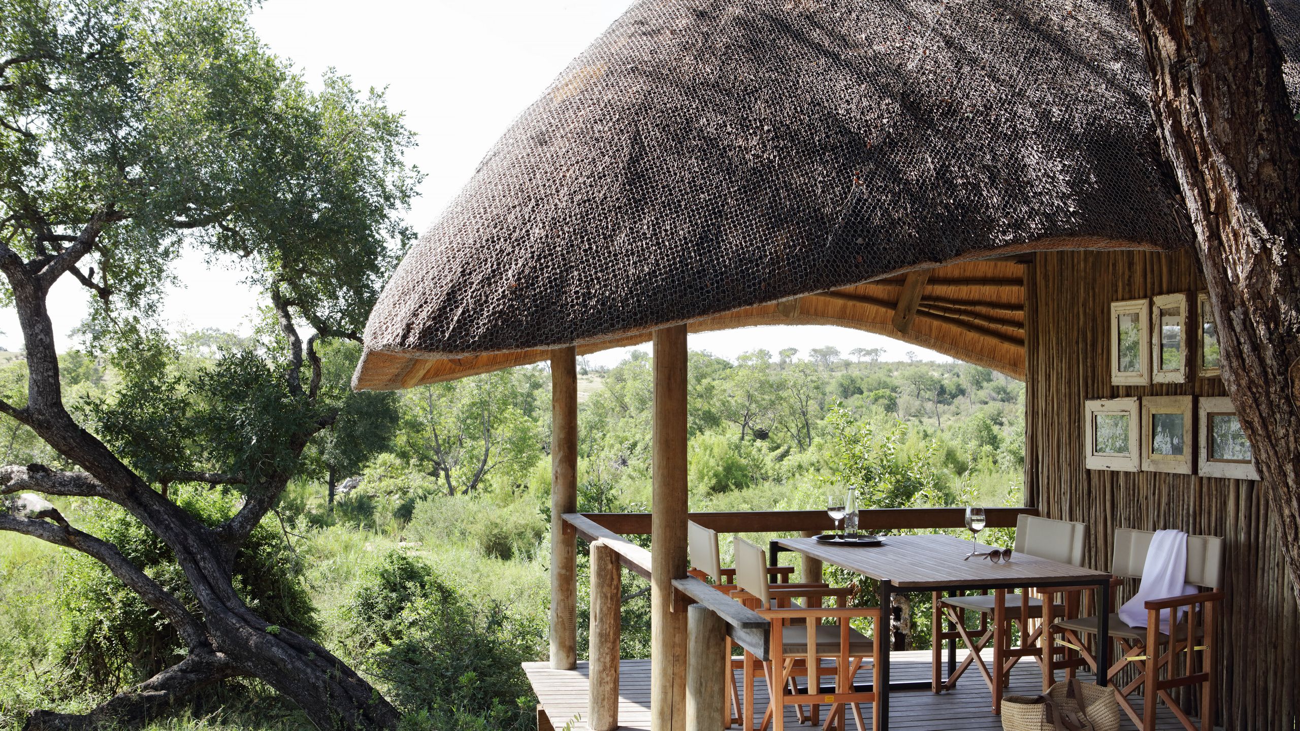 Londolozi Varty Camp — luxury accommodation in Sabi Sands Game Reserve