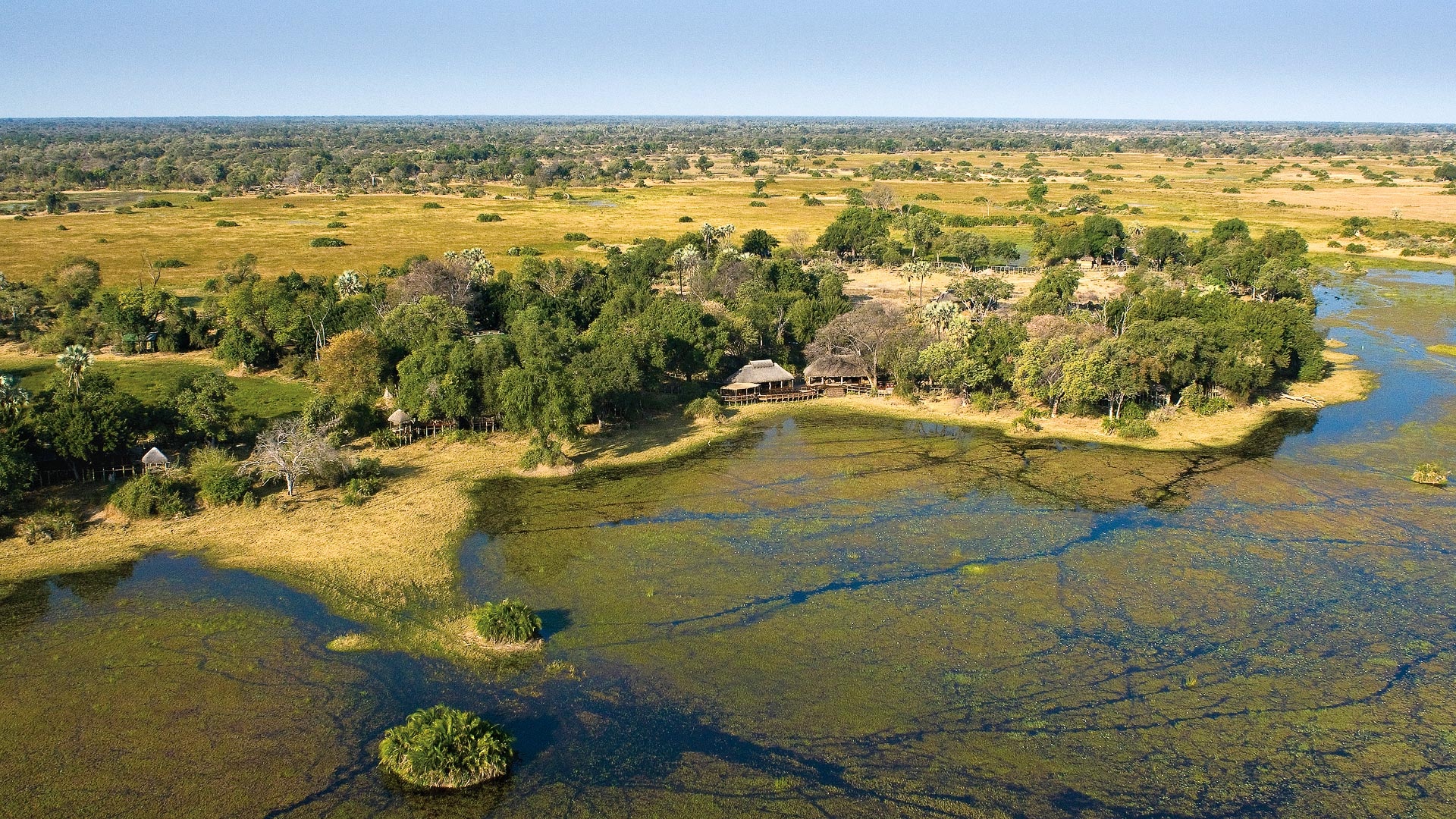Mombo Camp — luxury accommodation in Okavango Delta