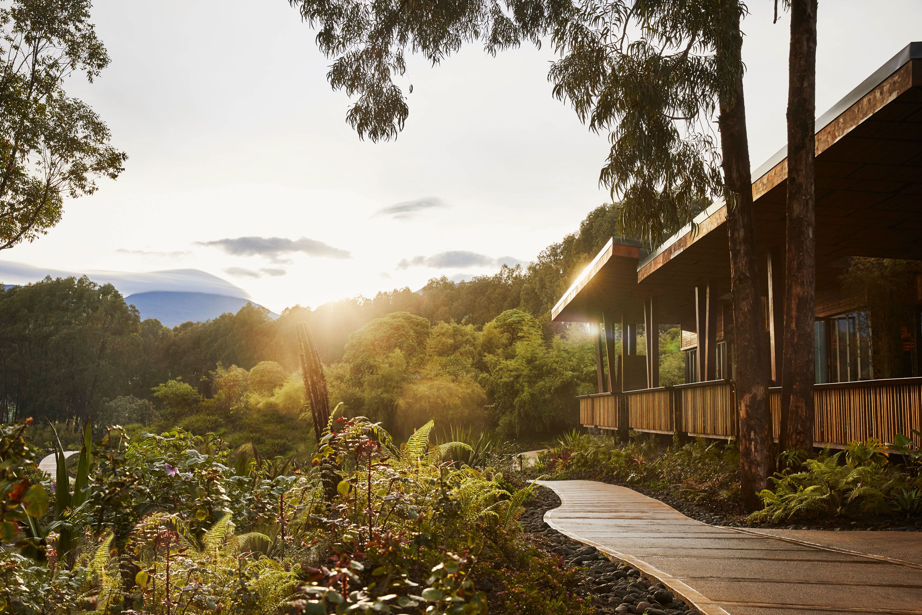 One&Only Gorilla's Nest — luxury accommodation in Rwanda