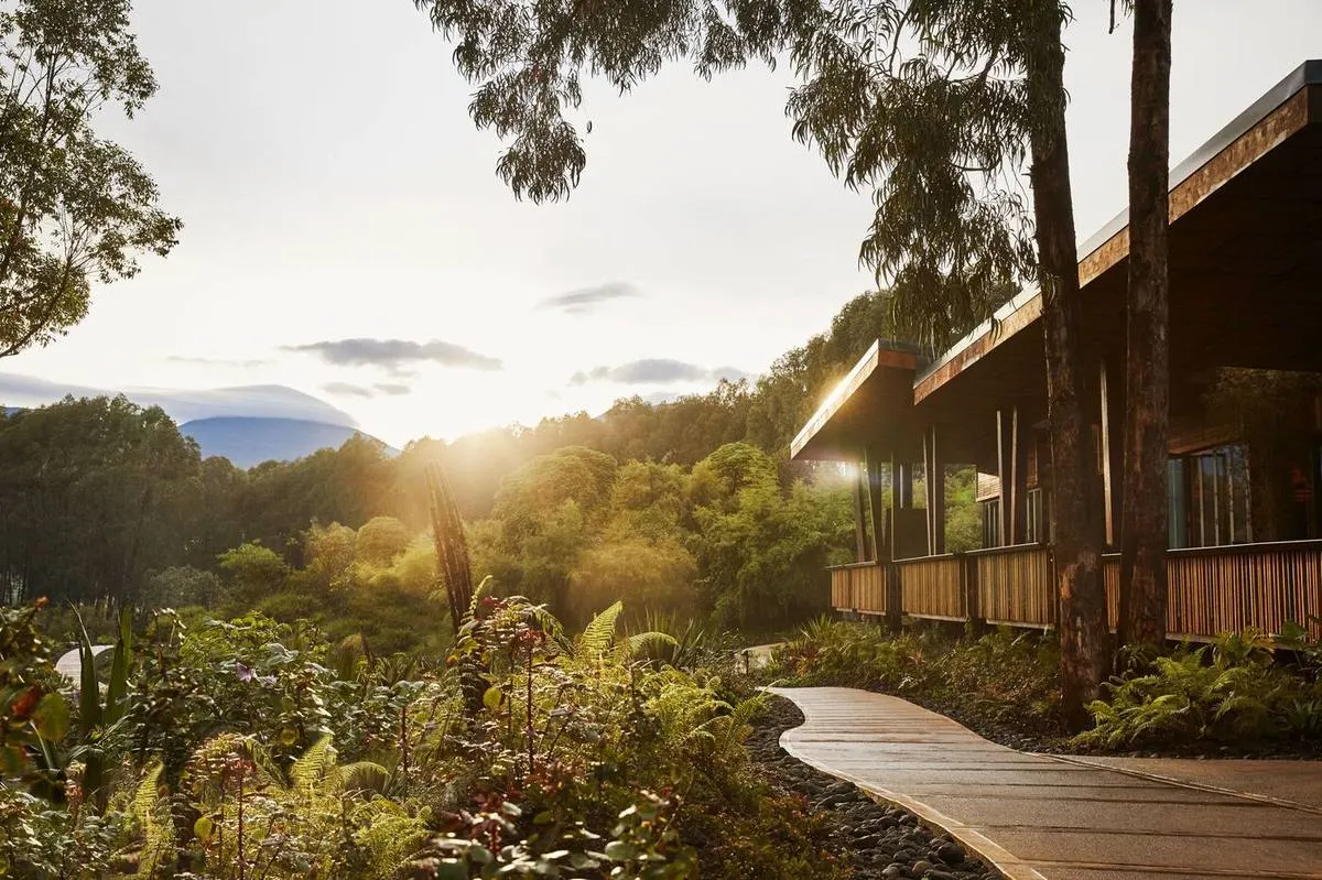 One&Only Gorilla's Nest — luxury accommodation in Rwanda