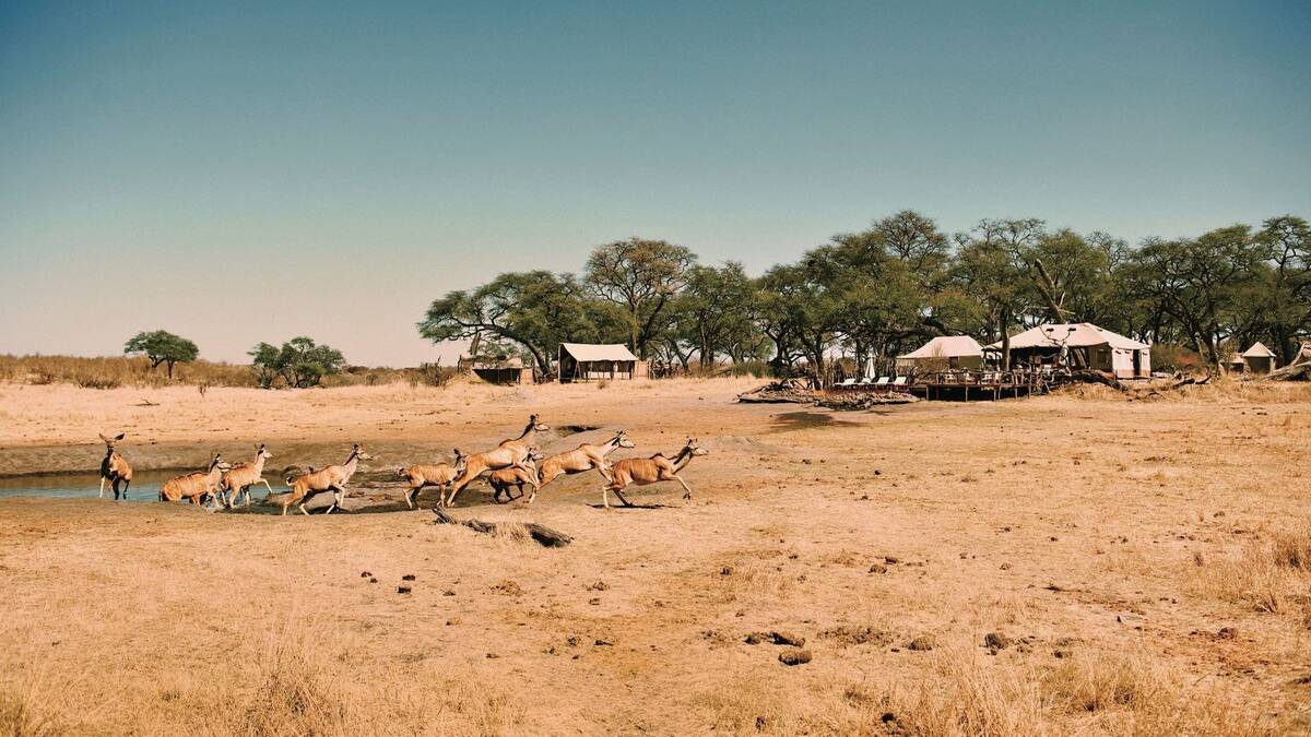 Somalisa Camp — luxury accommodation in Zimbabwe