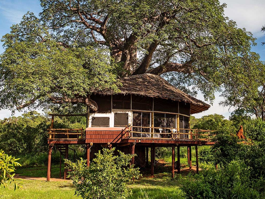 Tarangire Treetops — luxury accommodation in Tarangire National Park