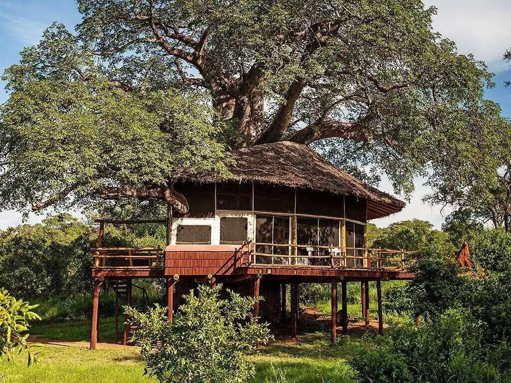 Tarangire Treetops — luxury accommodation in Tarangire National Park