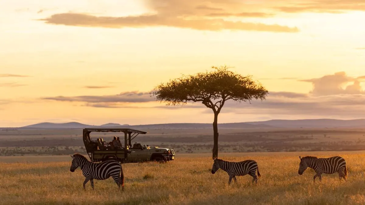 Best African Safari Tours 2026 — The Definitive Guide to Africa's Top Wildlife Experiences