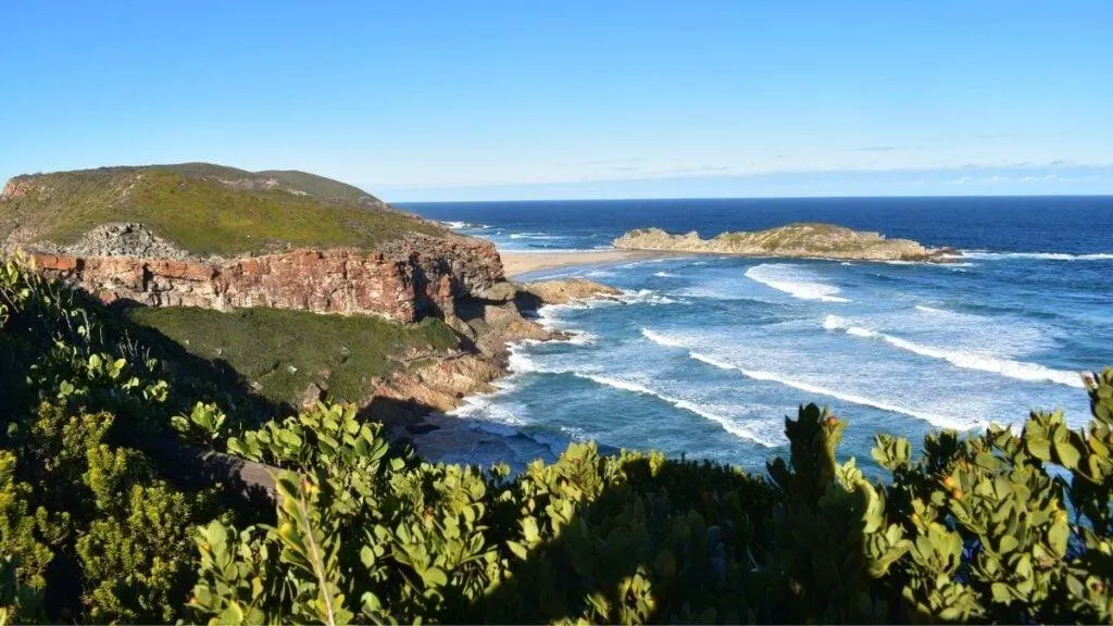 Garden Route Tours 2026 — The Complete Guide to South Africa's Most Beautiful Road Trip