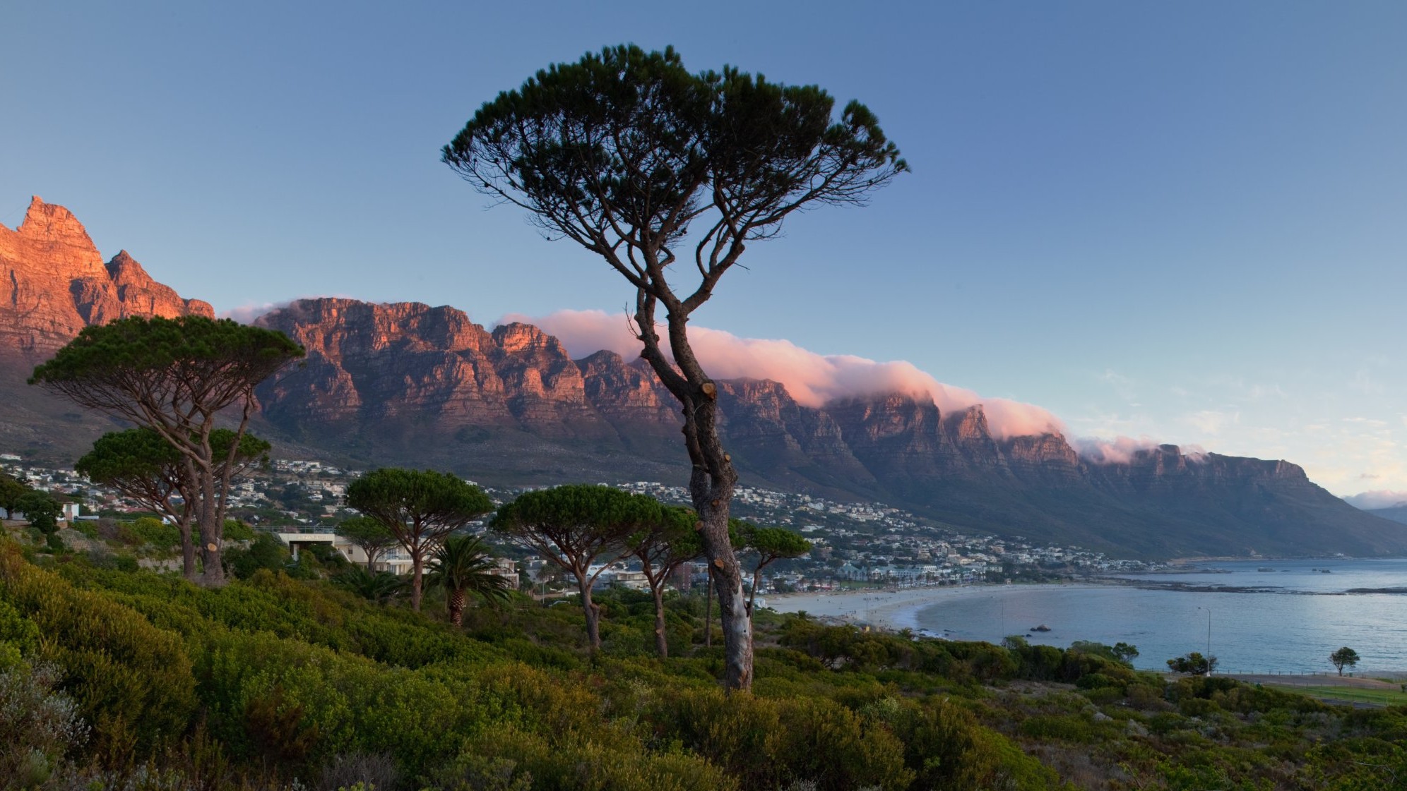 Cape Town Safari Tours 2026 — Best Day Trips, Game Reserves & Wildlife Experiences