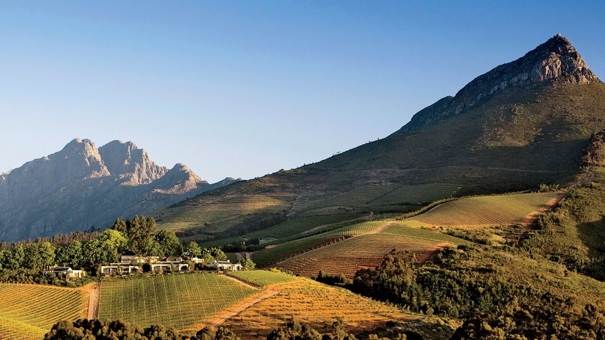 Cape Town Wine Tours 2026 — Best Stellenbosch & Franschhoek Day Trips, Tastings & Tips