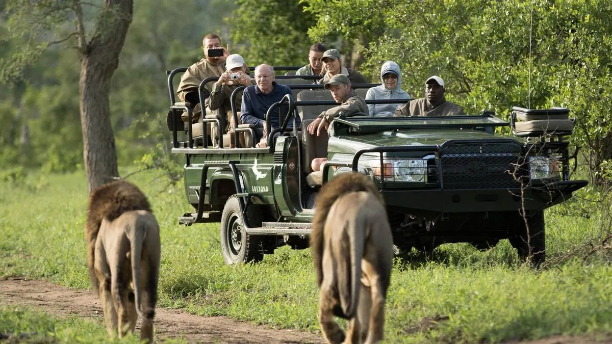 Malaria-Free Family Safari South Africa: Complete 2026 Guide