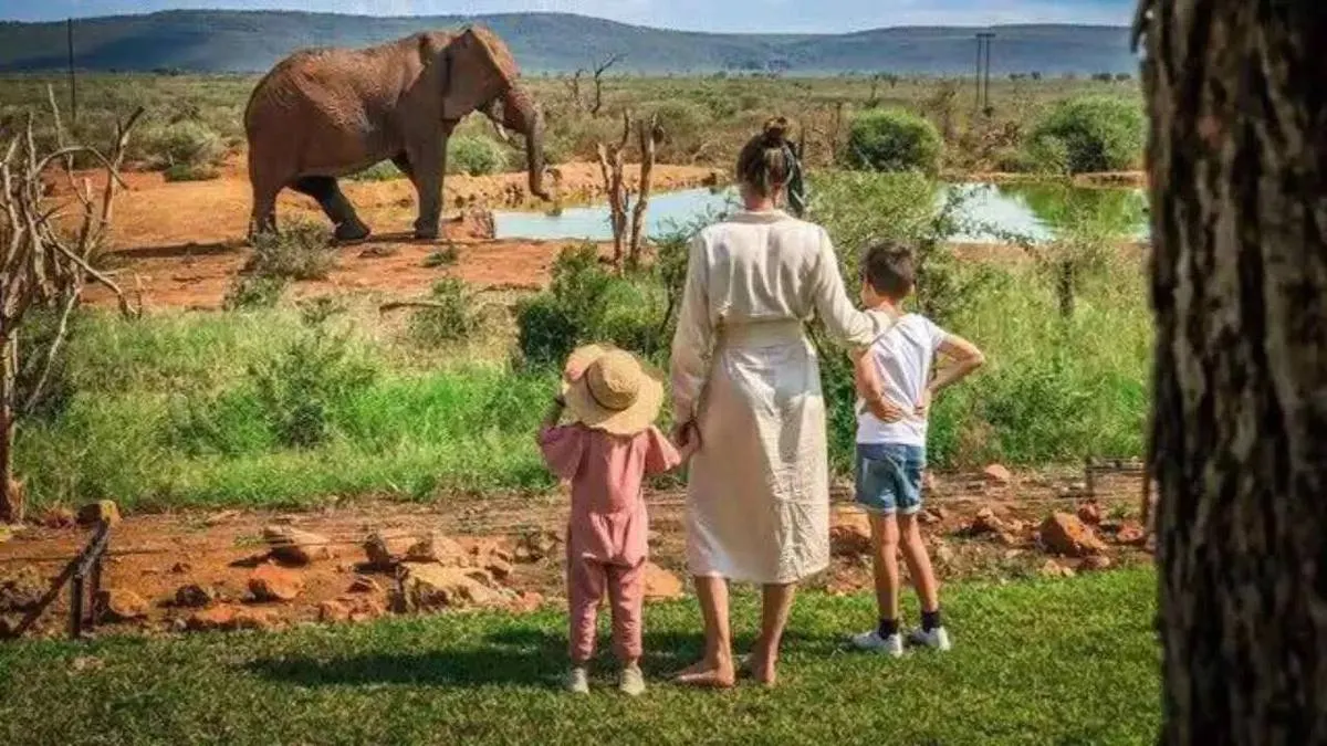 Best Family Safari in Africa 2026 — Kid-Friendly Lodges, Destinations & Expert Tips