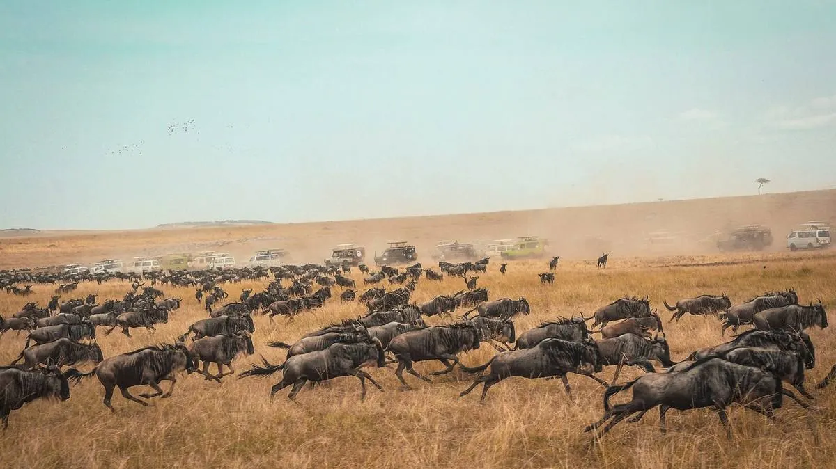 Masai Mara Safari 2026 — Complete Guide to Kenya's Greatest Wildlife Reserve