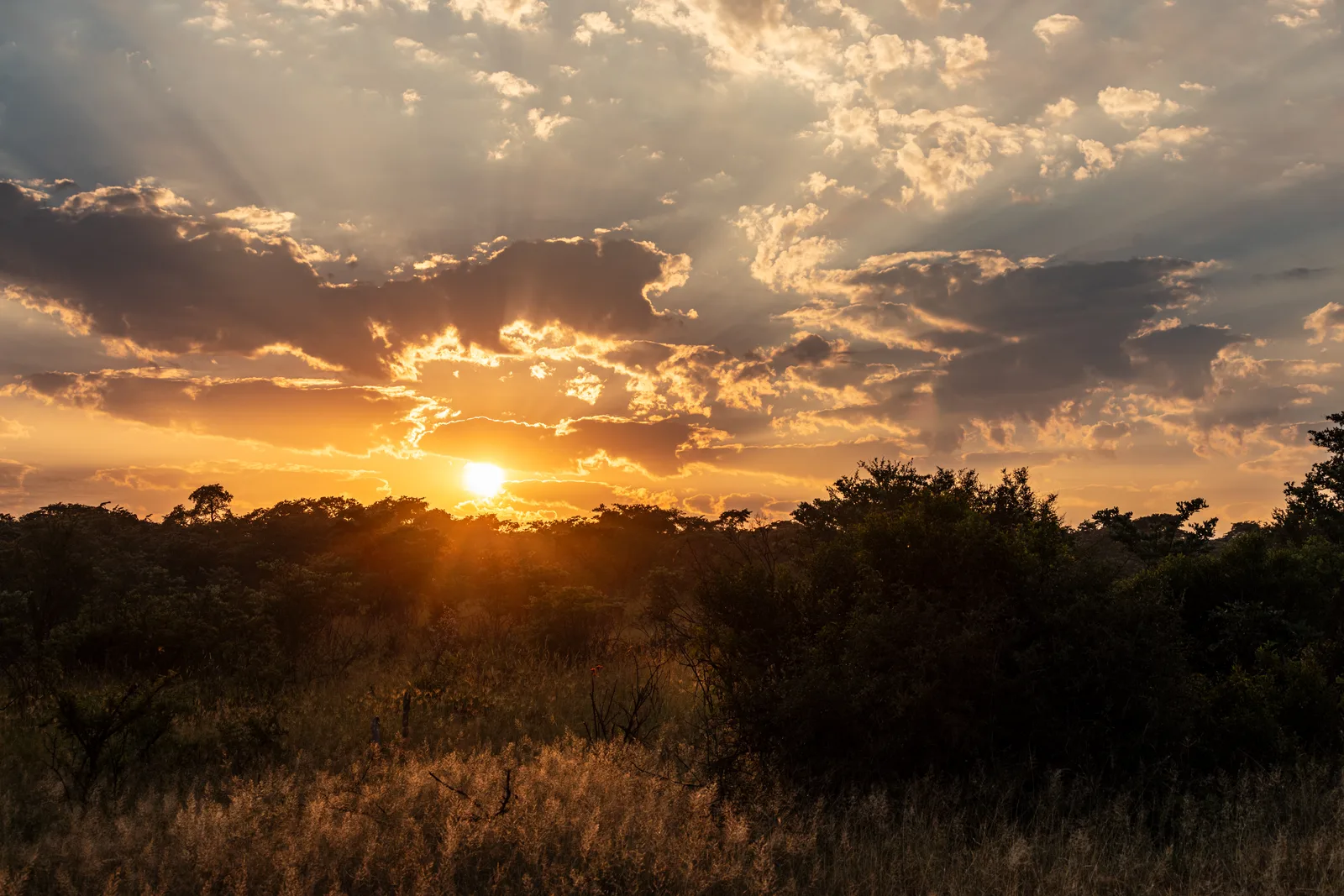 Chobe National Park: Botswana’s Elephant Paradise