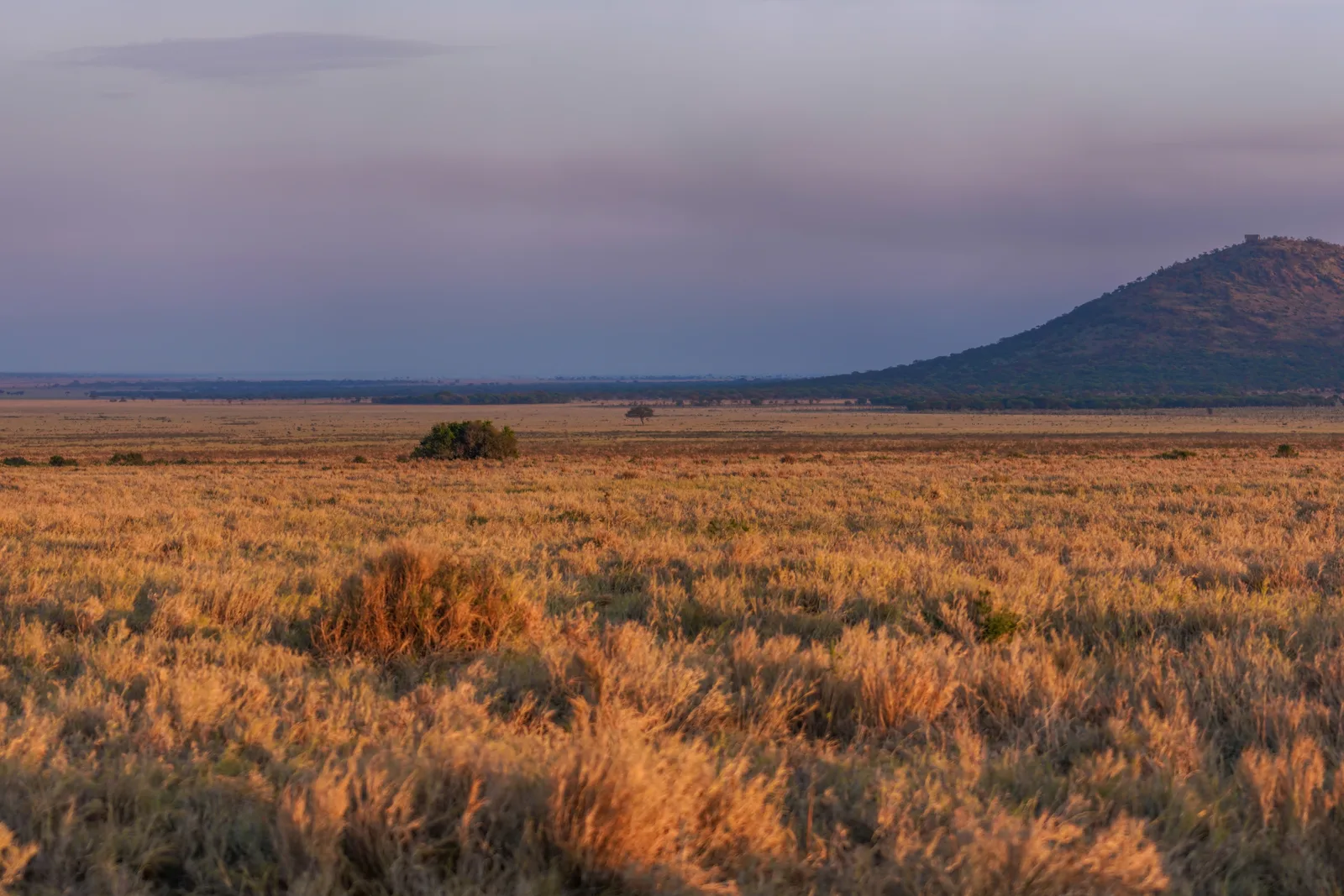 Africa Safari Travel Planning Checklist: Everything You Need