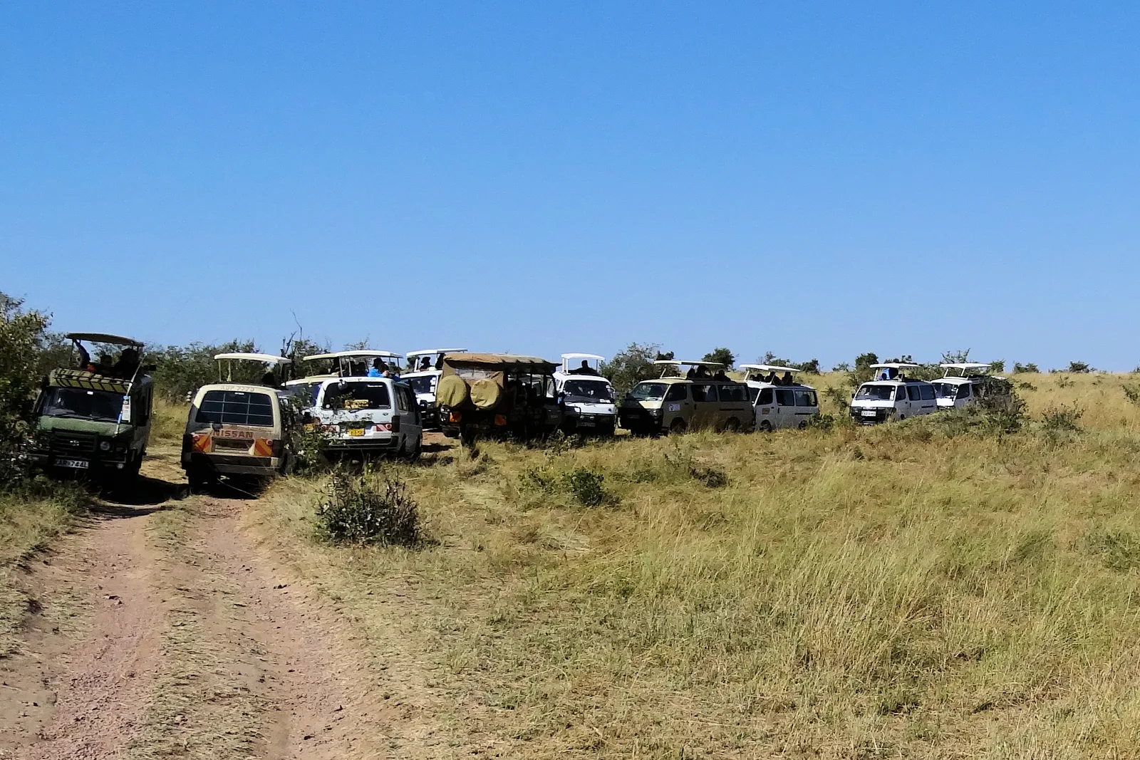 How Much Does an African Safari Really Cost in 2026? β Complete Price Breakdown