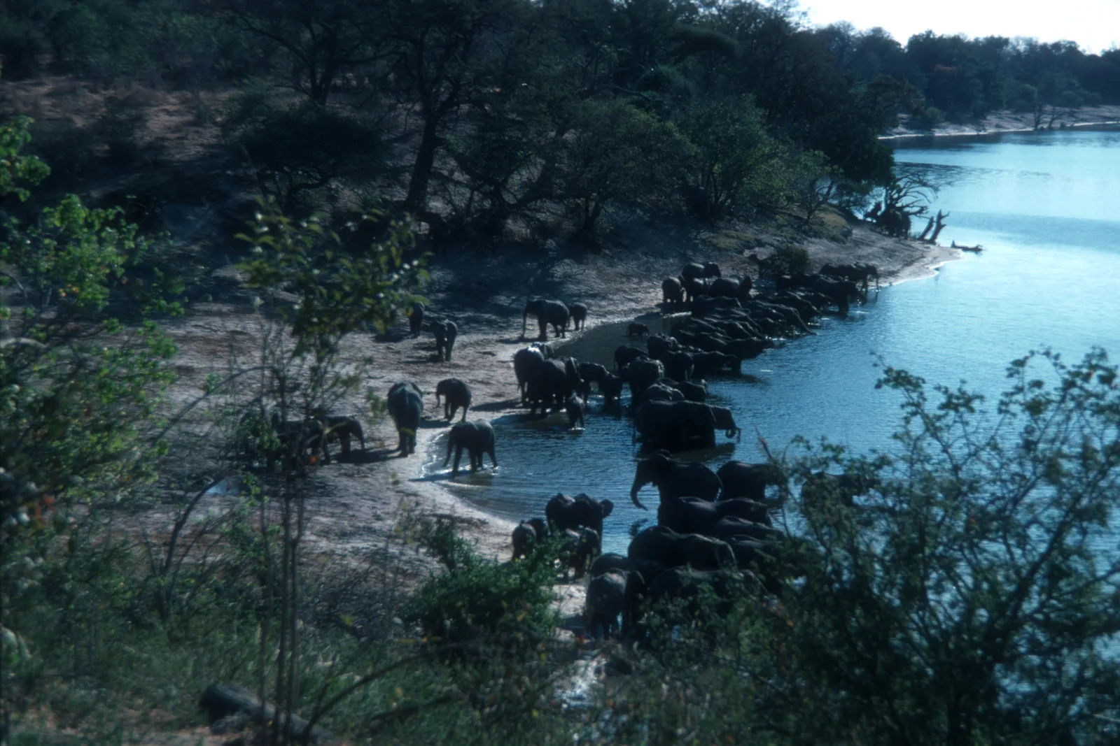 Best Safari for First-Timers β Where to Go, What to Expect & How to Choose