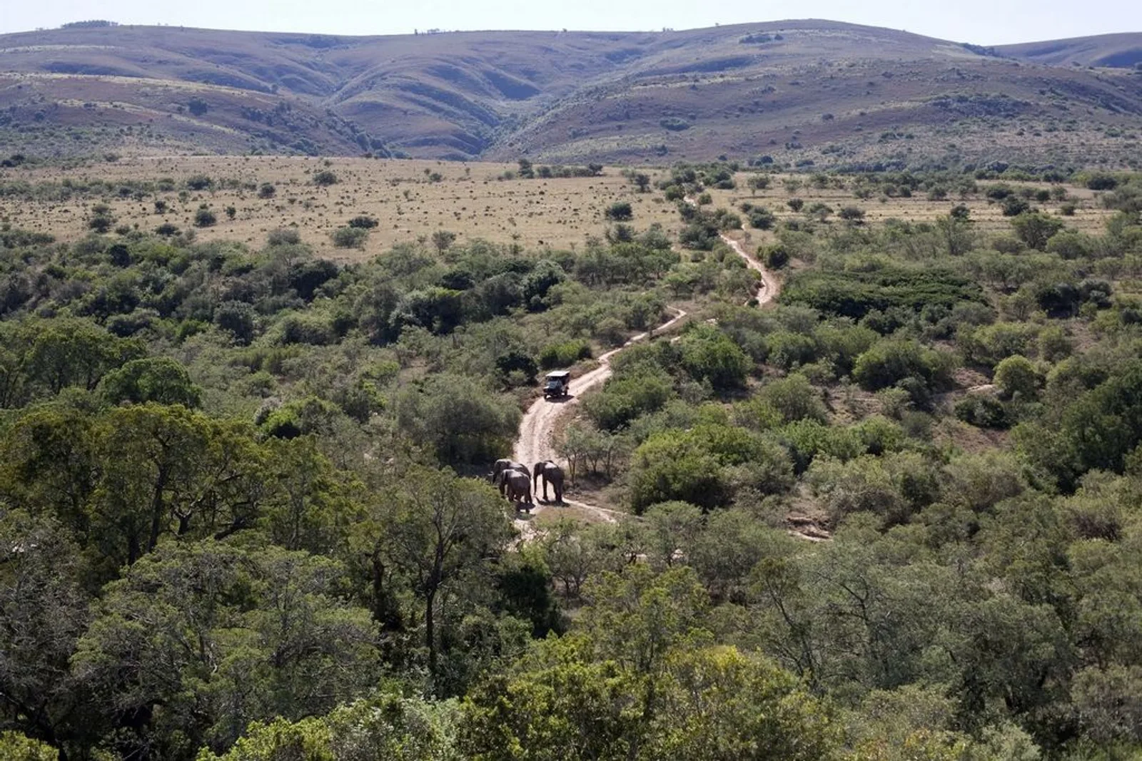 Family Malaria-Free Safari South Africa: Complete 2026 Guide