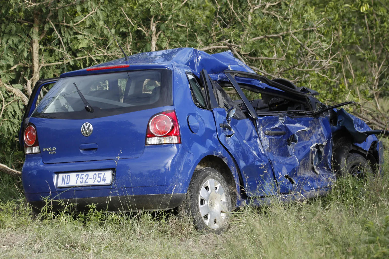 Kruger Park: Self-Drive vs Guided Safari β Which Is Better in 2026?