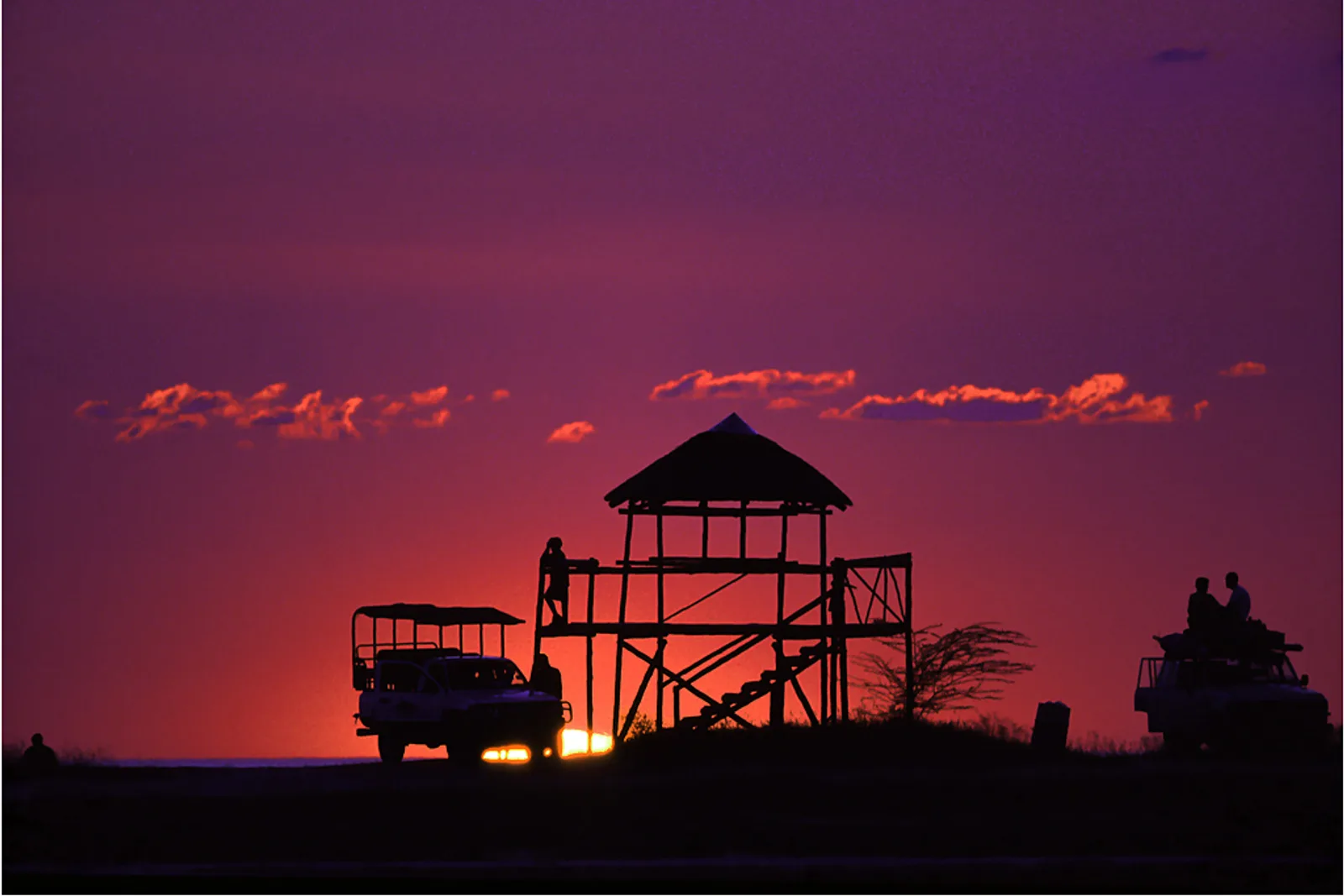 Luxury African Safari Guide 2026 — The World's Finest Wildlife Experiences