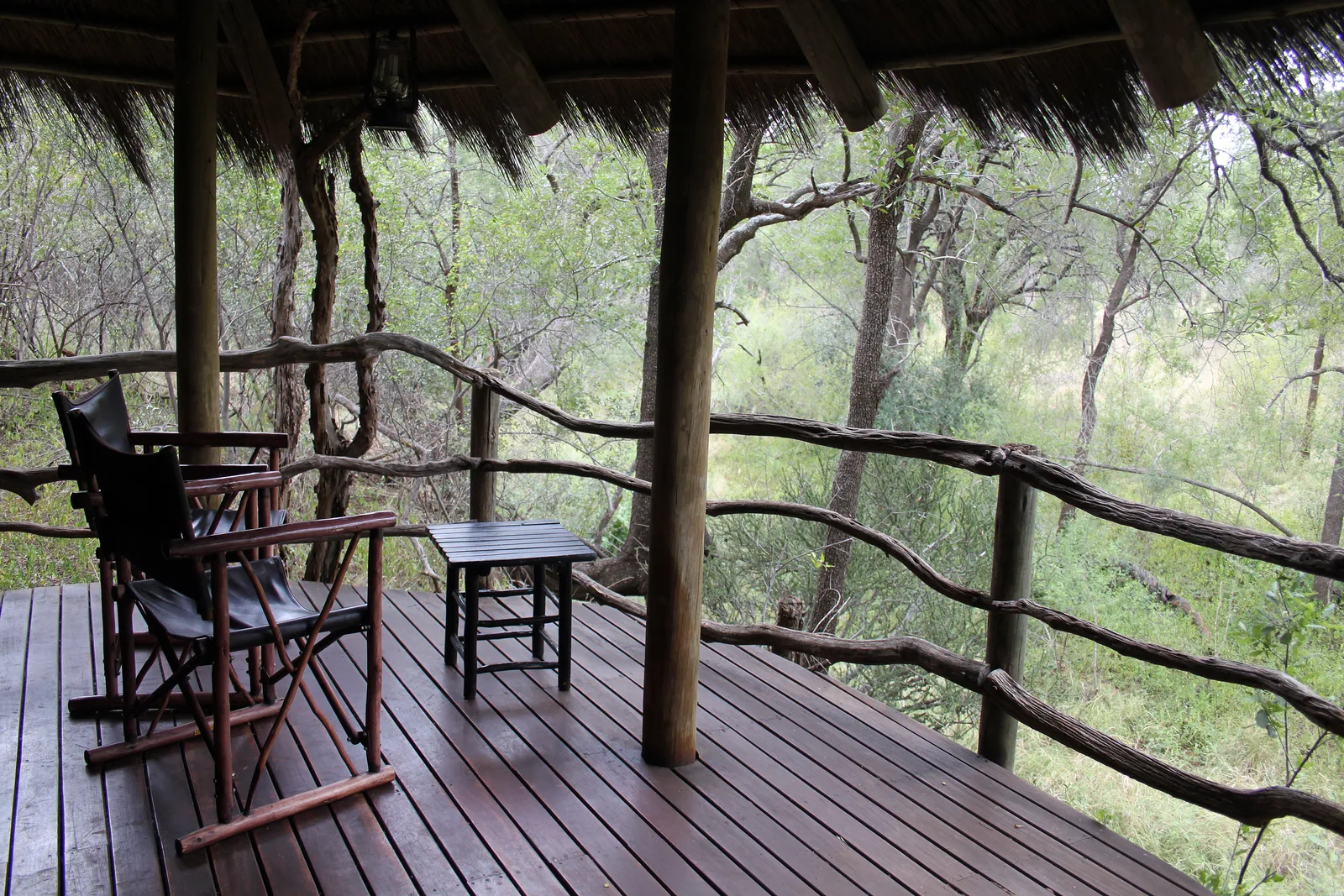 Luxury Safari Lodges South Africa: Top Picks for 2026