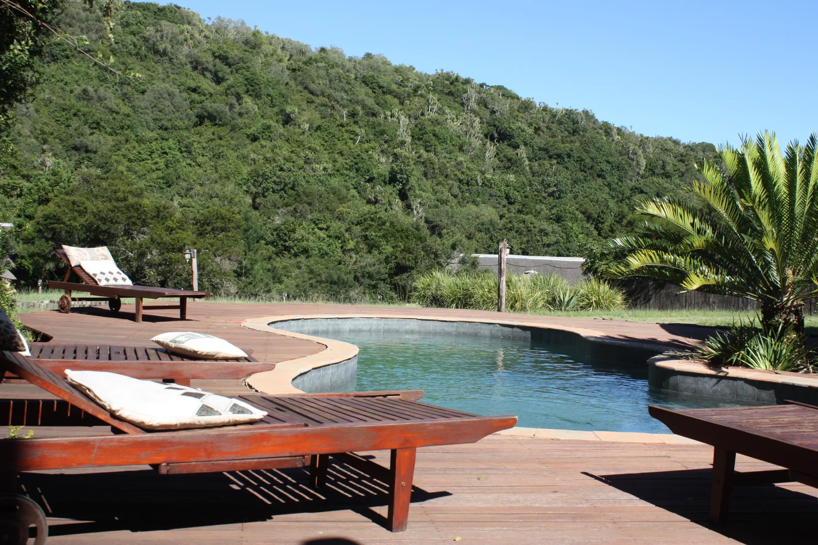 Luxury South Africa Safari Lodges: Top Picks for 2026