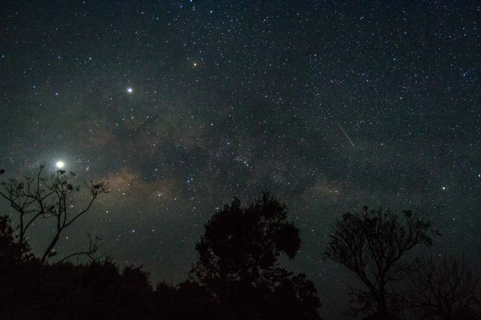 Night Safari Photography: Capturing Africa After Dark