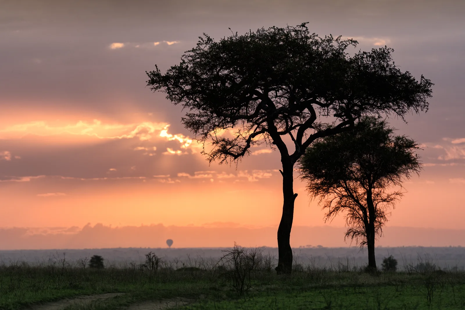 Safari Sundowners & Bush Breakfasts: Africa's Most Magical Dining Experiences 2026