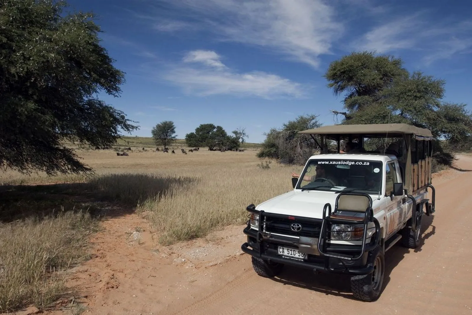Safari Travel Insurance Guide: What You Need for Africa 2026