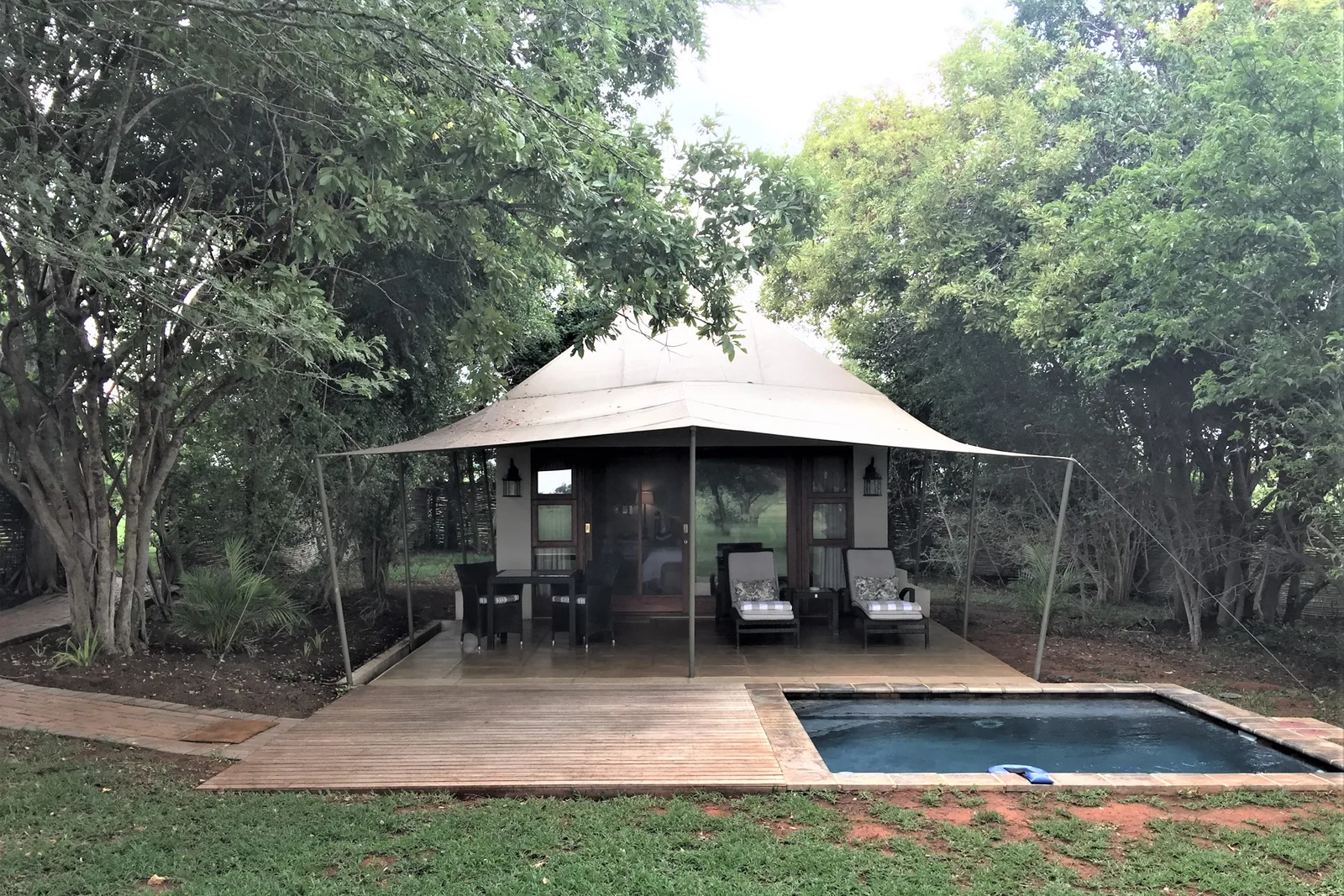 South Africa's Best Luxury Safari Lodges: Ultimate 2026 Guide