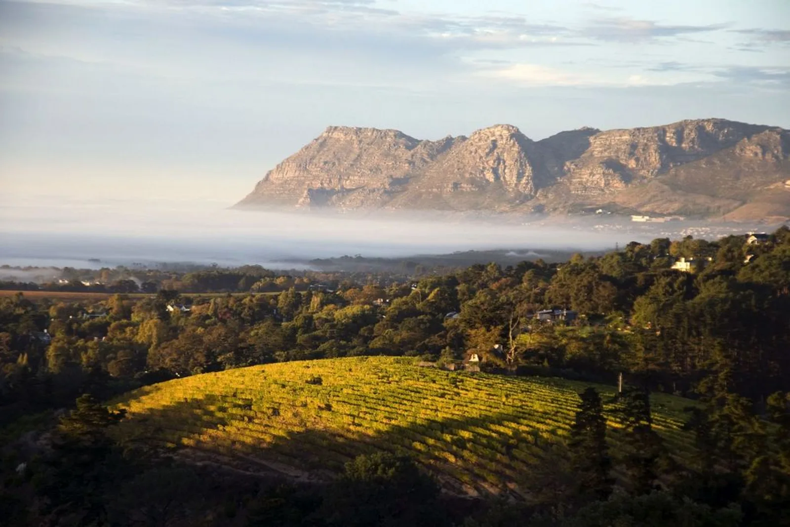 South African Safari Cuisine: Bush Dining, Sundowners & Winelands Pairings