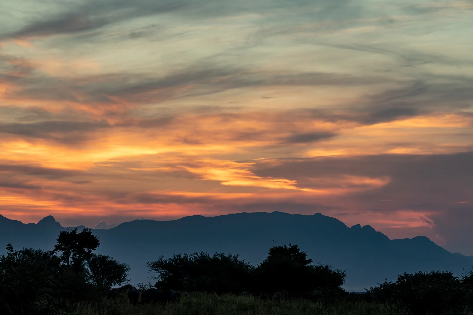 South Africa Safari Packing List: What to Bring in 2026