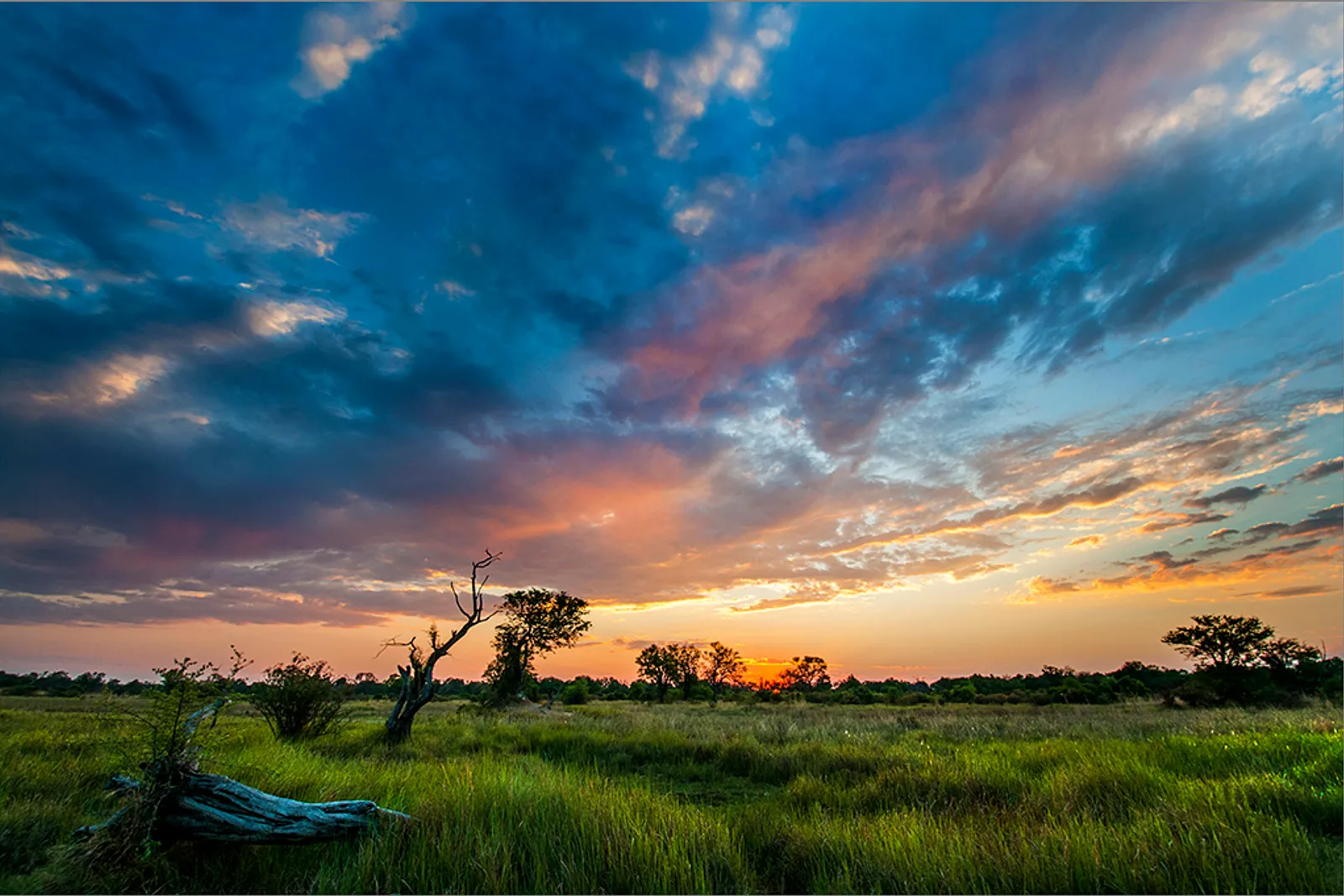 Underrated African Safari Destinations Worth Exploring in 2026