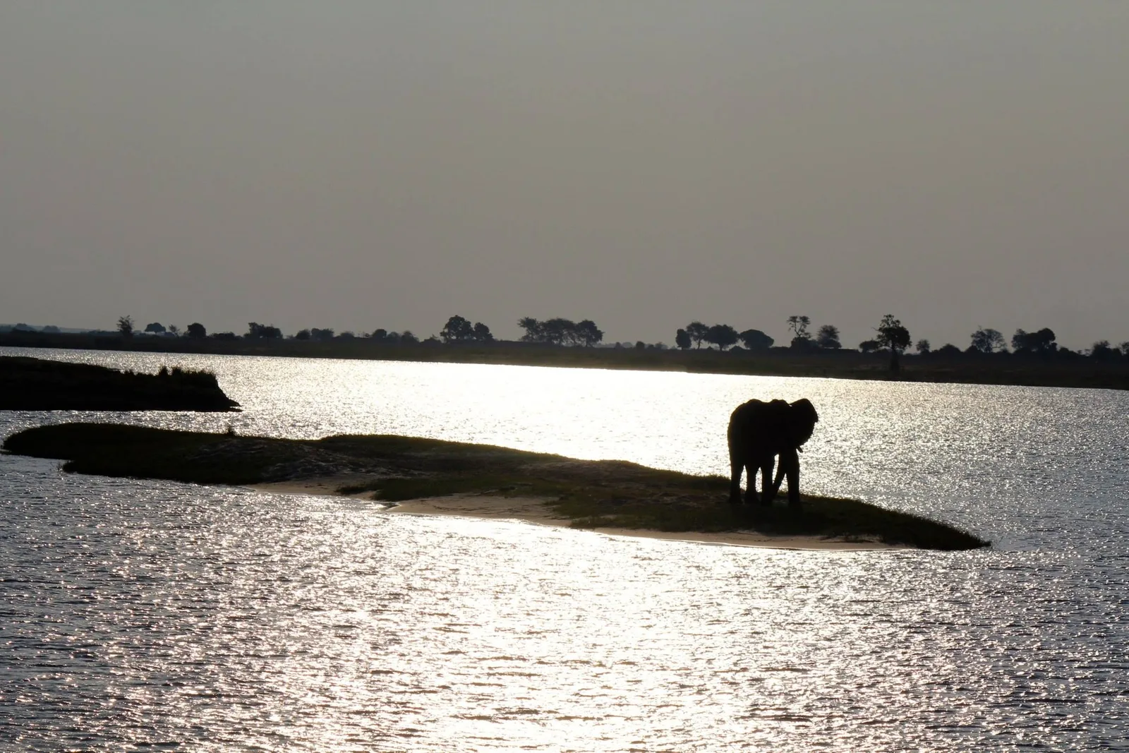 Why an African Safari Will Change Your Life Forever