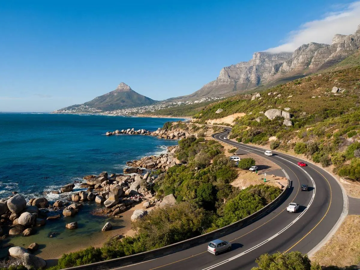 Cape Peninsula — Penguins, Cape Point & Chapman's Peak