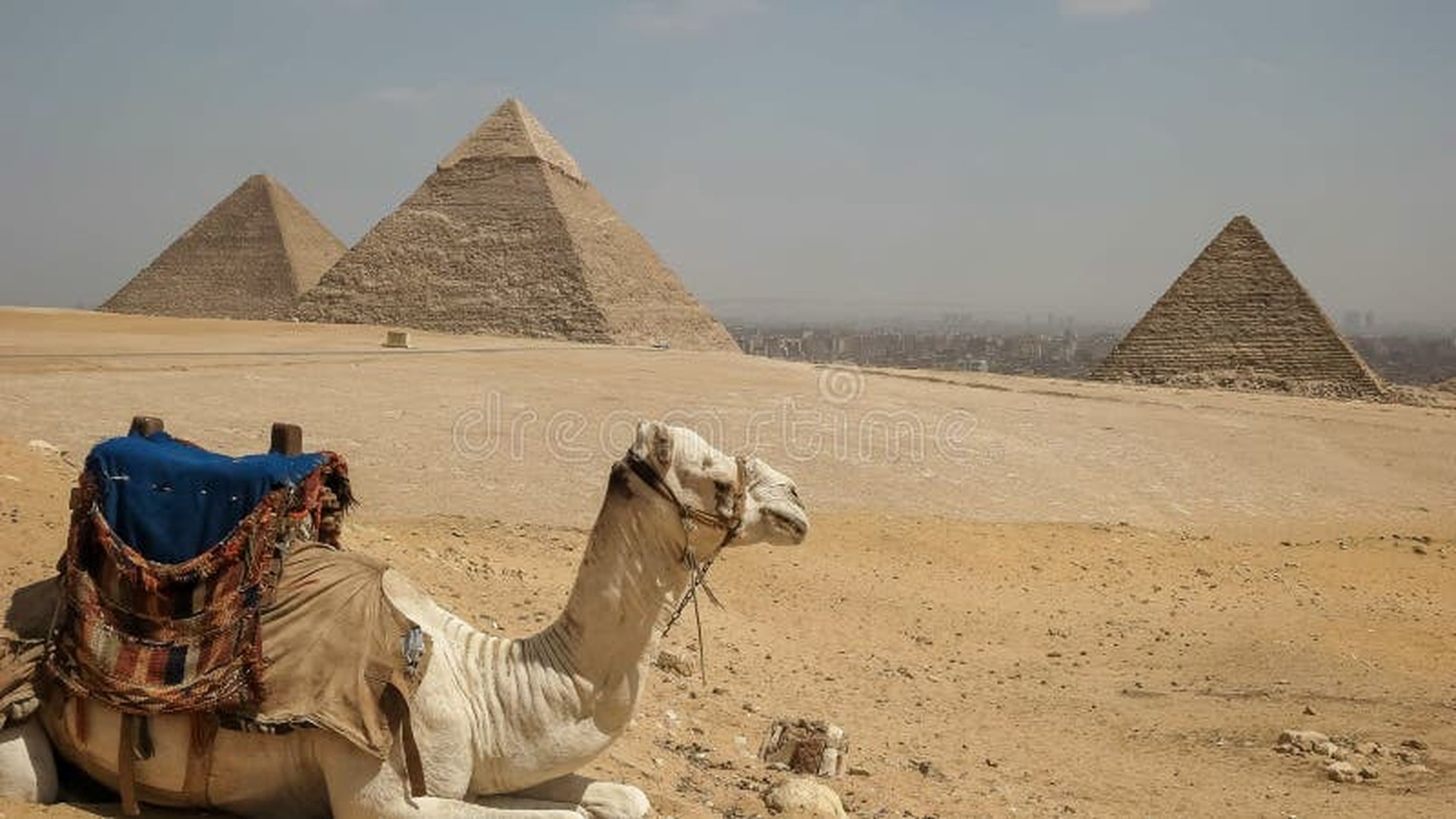 Cairo & the Pyramids safari — Where ancient wonders meet one of the world's most vibrant cities