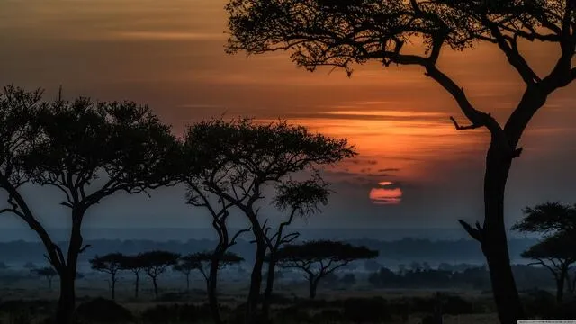 Budget Safari — Real Big Five action, incredible value, no corners cut
