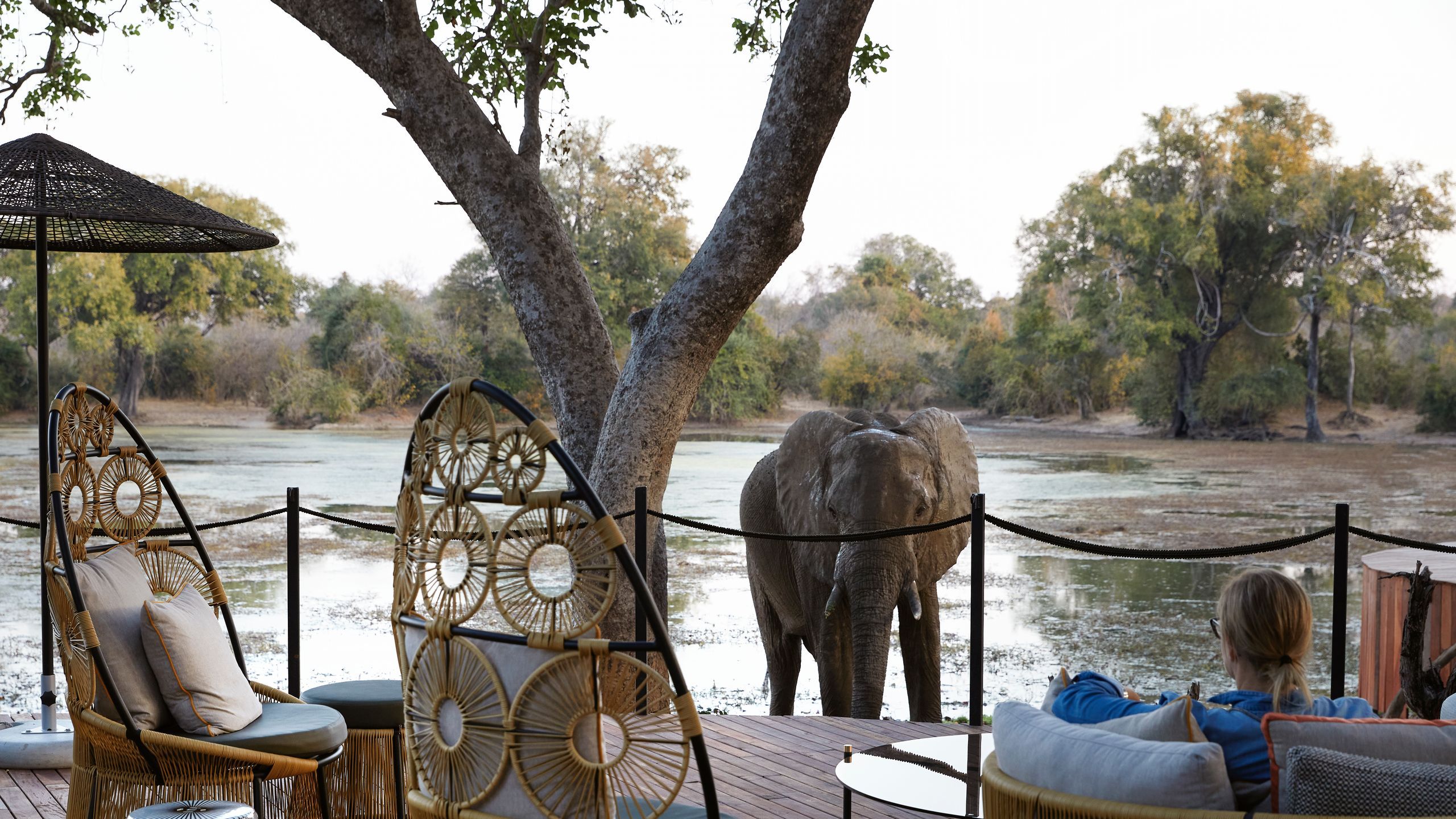 Mana Pools National Park safari — Africa's Walking Safari Capital — UNESCO Wilderness on the Zambezi