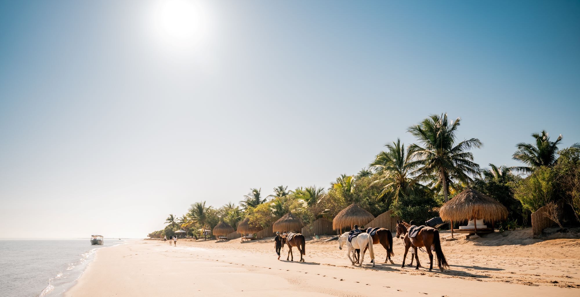 Mozambique — Bazaruto & Benguerra Islands safari — Pristine archipelago paradise — turquoise waters, whale sharks & barefoot luxury