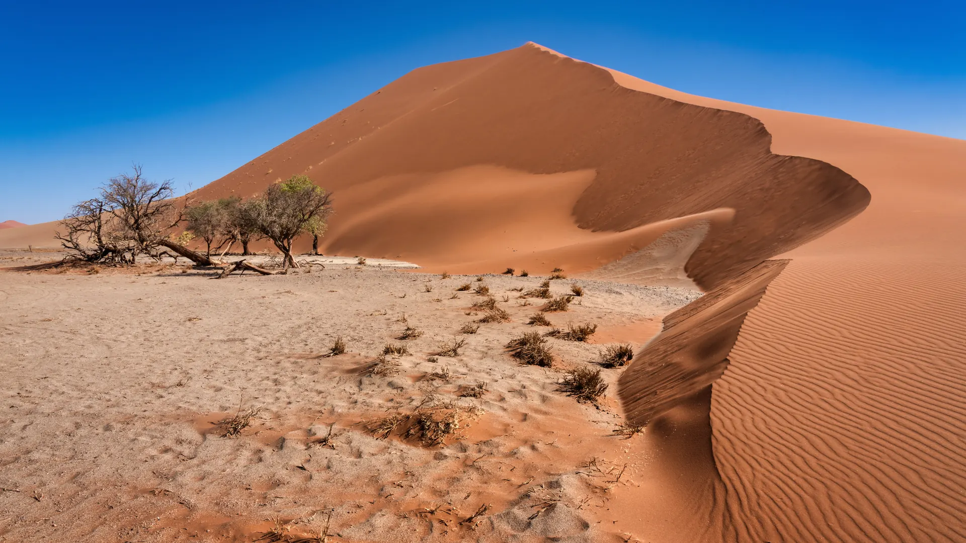 Namibia: Skeleton Coast, Sossusvlei & Etosha — 10-Day Adventure — Windhoek to Etosha, Namibia