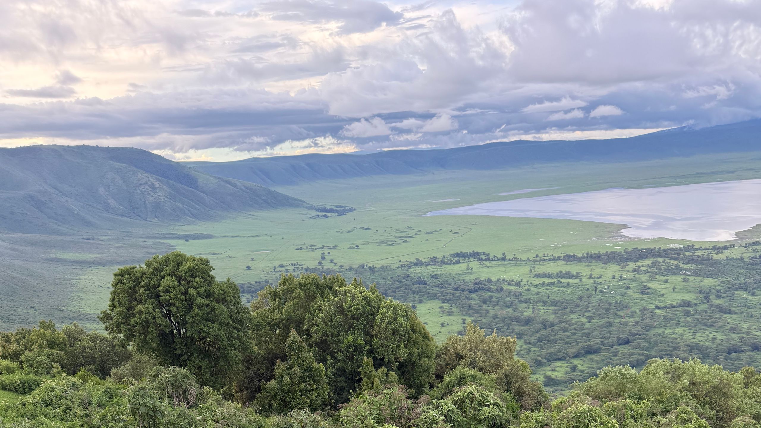 Ngorongoro Crater safari — The Eighth Wonder of the World — Big Five in a Volcanic Caldera