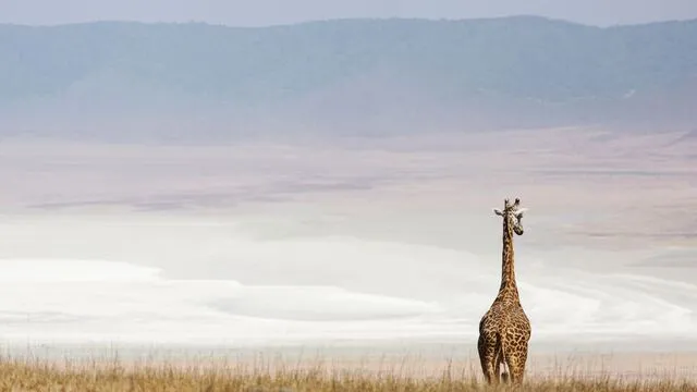 Roof of Africa