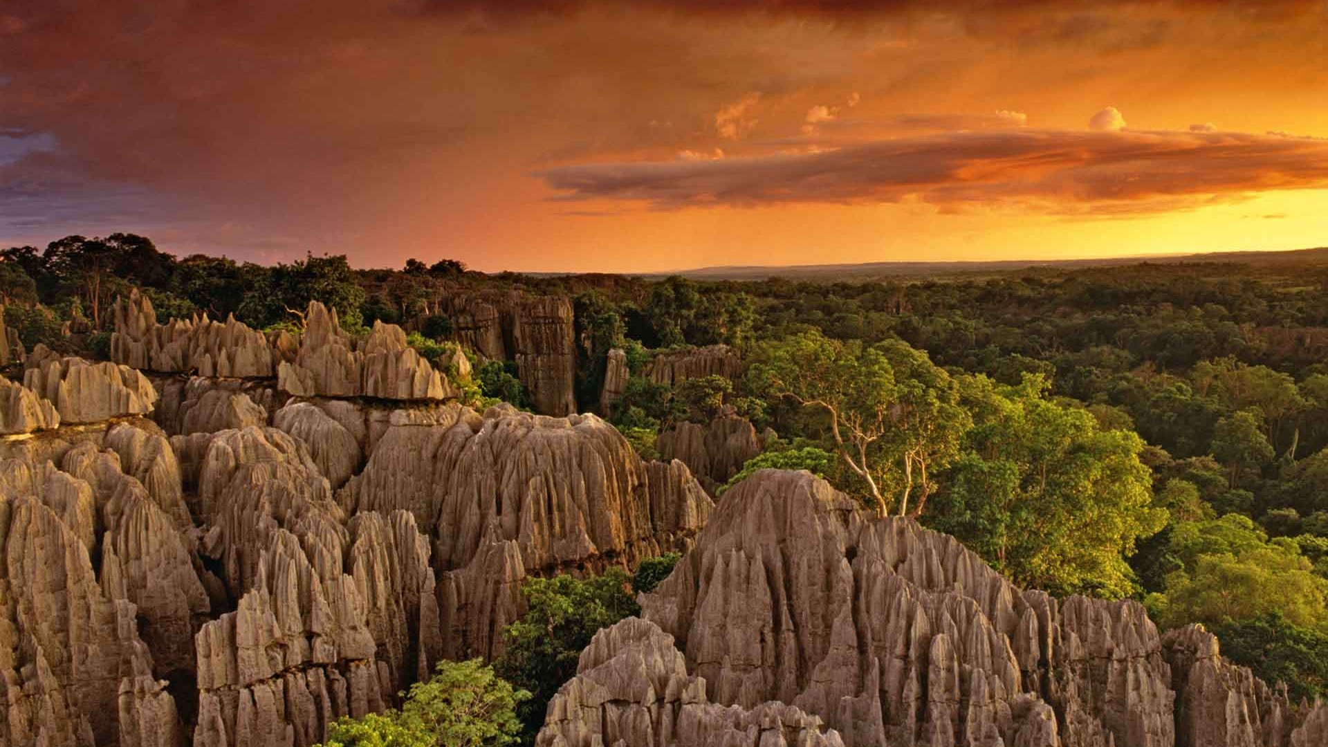 Tsingy de Bemaraha safari — A razor-sharp stone forest — Earth's most alien landscape and a UNESCO World Heritage marvel
