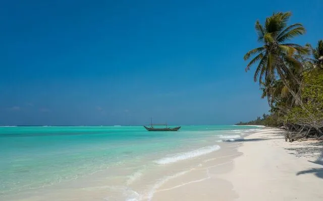 Honeymoon Safari — Romance under the African stars — the trip of a lifetime