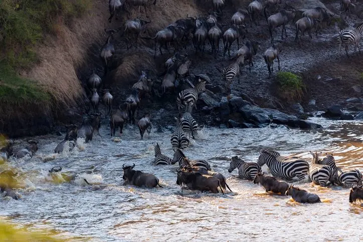 Great Migration